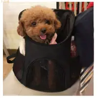 在飛比找樂天市場購物網優惠-抱狗狗神器寵物雙肩包背包外出用泰迪狗狗貓咪便攜包小型幼犬旅行