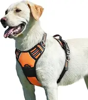 Eagloo Dog Harness for Large Dogs No Pull, Front Clip Dog Walking Harness with Reflective Adjustable Soft Padded Vest and Easy Control Handle, No-Choke Pet Harness with 2 Metal Rings, Orange, L