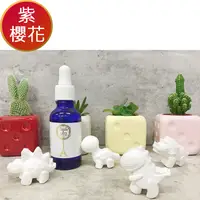 在飛比找PChome24h購物優惠-【愛戀花草】日本紫櫻花水氧薰香精油30ML+贈恐龍擴香石4個