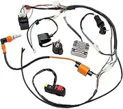 Vuzmode Complete Electrics Wiring Harness Loom Coil Accessory Part Suitable, for ATV QUAD 150200250300CC ignition coil Engine Ignition Coil Pack