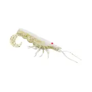 Chasebaits Curly Prawn Soft Plastic Lure 60mm