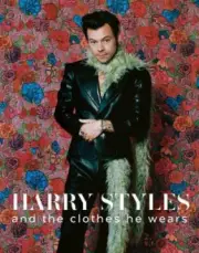 Harry Styles: and the clothes he wears (the clothes they wear) by Terry Newman