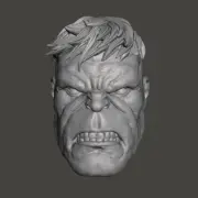 Incredible Hulk Marvel Comics custom head for action figures