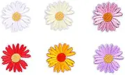 AIMALL 6PCS Embroidered Daisy Iron on Patches Flower Blossom Bloom Flowers Repairing Craft