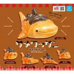 【日本正版授權】全套5款 鯊魚可頌 珠鍊吊飾 巧克力脆皮篇 扭蛋/轉蛋 吊飾 377819