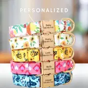 Custom Engraved Dog Collar – Soft Padded, Adjustable, Name & Phone ID