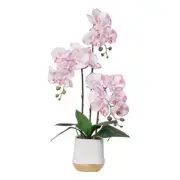 Artificial Orchid Flowers Set Fake Phalaenopsis 12CM- Vase White- Purple-12cm