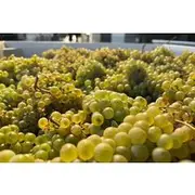 Save 15.00%! Custom Willamette Valley Wine Tours from The Allison Inn and Spa