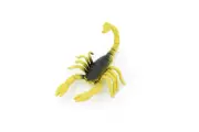 Scorpion, Yellow & Brown, Rubber Toy, Realistic , Model, Kids Gift, 2.5" F1524