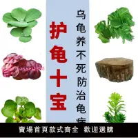 在飛比找樂天市場購物網優惠-爬蟲用具凈化水質植物造景用品水草龜缸生態缸小烏龜裝飾用品曬臺