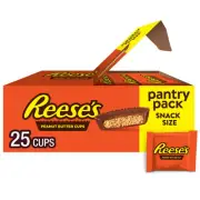 REESE'S Milk Chocolate Peanut Butter Cups 25 Count Snack Size Pantry Pack