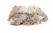 Hornby Skale Scenics Lichen HO & OO Model Train Accessories