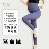 在飛比找蝦皮購物優惠-🔥台灣現貨爆款🔥孕婦褲 輕薄 孕婦托腹褲 鯊魚褲 外穿 運動