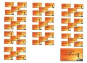 Philippians 4:13 MAGNETS Set of 50 Christian Scripture Bible Verse College Men
