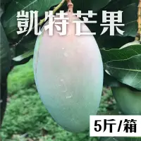 在飛比找台灣好農優惠-葉老爹果園 凱特芒果5斤*1箱_夏日水果派對