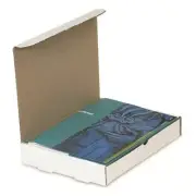 100 - 11 3/4x10 3/4x2 1/4" Protective Literature Mailer- White