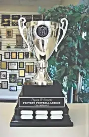 FANTASY FOOTBALL TROPHY 3 TIER LARGE FFL CUP PERPETUAL AWARD 38 YEAR M*DAK113A *