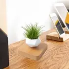 Levitating Pot Aerial Creative Decoration Suspended Wood Grain Pot Plant 993