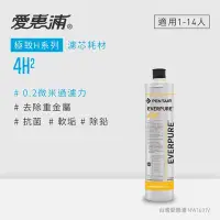 在飛比找Yahoo奇摩購物中心優惠-愛惠浦 EVERPURE 4H2活性碳濾芯(DIY更換)可取