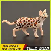 在飛比找蝦皮購物優惠-模型擺件 實心仿真動物玩具野生動物模型 孟加拉豹貓 貓咪早教