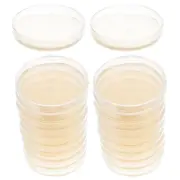 20 Pcs Agar Plates Petri Dishes Laboratory Culture Nutrient Baby Child