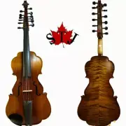 Baroque style SONG maestro 6×6 strings 20"viola of profession Concert #12682