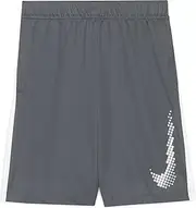 [Nike] Big Boys Dominate Graphic Shorts (Grey(DA0137-084)/White, Large)