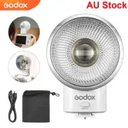 Godox Lux Elf Retro Camera Flash with Battery for Canon Nikon Sony Fuji Olympus