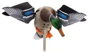 Avian X AVXAVXDP100 PowerFlight Mallards Species Multi-Color Features Dual Mode