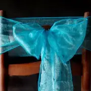 Quasimoon Turquiose Organza Chair Sashes (9FT, 10 Pack) by PaperLanternStore