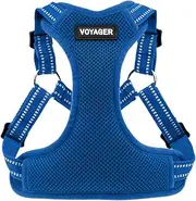 Voyager by Best Pet Supplies - Fully Adjustable Step-in Mesh Harness with Reflective 3M Piping - Royal Blue (Matching Trim), Medium