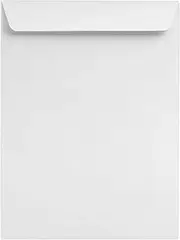 9 x 12 Open End Envelopes - 24lb. Bright White (250 Qty.) | Perfect for Tax Season, Sending Catalogs, Pamphlets, Brochures and so much More! | 24lb Paper | 8193-250