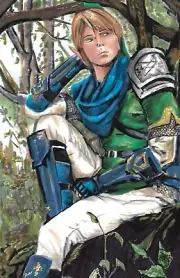LINK LEGEND OF ZELDA NOT A PRINT By SHAWN HOWE 11X17 TEARS OF THE KINGDOM