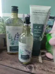 Bath & Body Works Aromatherapy eucalyptus + Oil Mist, body cream, wash (3pcs)