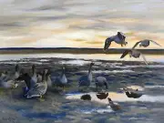 Bean geese shedding by B. Liljefors Tile Mural Kitchen Backsplash Ceramic 10x8