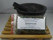 Spearmint - Herb Spell supplies Herb Magick Ritual Witch Pagan Wicca