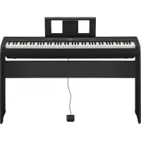在飛比找蝦皮購物優惠-『放輕鬆樂器』全館免運費 YAMAHA P-45 數位鋼琴 
