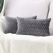 Pack of 2 Super Soft Velvet Decorative Throw Pillow Covers with 12"x20" Grey