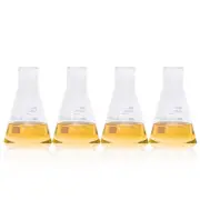 Scientific Narrow-Mouth Glass Erlenmeyer Flask Set, 8.5Oz 250Ml, 3.3 Borosilicat
