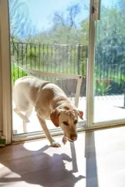 Custom Sliding Door Pet Door Screen Kit | For Existing Patio Screen Doors | P...