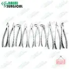 Professional 10-Piece Molar Dental Extraction Forceps Set – Upper & Lower