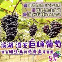 在飛比找momo購物網優惠-【吉好味】香甜飽滿溪湖溫室巨峰葡萄5斤*1箱(1箱6包、1包