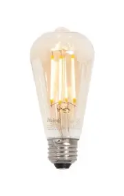 B&P Lamp® Medium Base E26 LED Edison Bulb with Vintage Style Filament, ST19