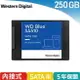【最高22%回饋 5000點】 WD 藍標 SA510 250GB 2.5吋SATA SSD 固態硬碟