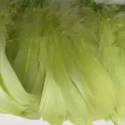 Goose Nagoire Feather Strung per 10cm - Citrus Green