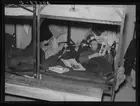 Lumberjacks resting in bunkhouse at logging camp near Effie, Minnesota