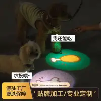 在飛比找蝦皮購物優惠-現貨狗狗發光項圈寵物夜光遛狗燈usb充電夜行燈多功能狗狗牽引