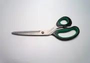 Stahlwille 13155 General-purpose Stainless Steel Titanium Plated Scissors