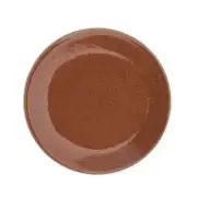 Oneida F1493025131 Terra Verde Cotta 8.25" dia. Porcelain Dinner Plate - 3 Doz