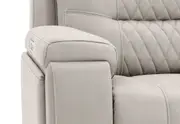 AGASSI FABRIC Dual Electric Recliner